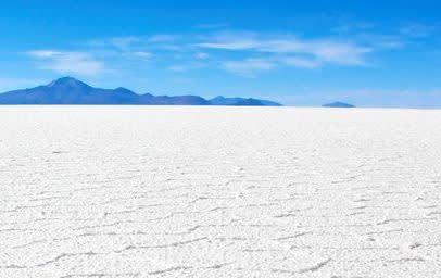 Ectoin® natural banner