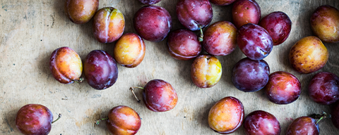 AFI Compare to Aroma Sugar Plum Berries® F38322 banner