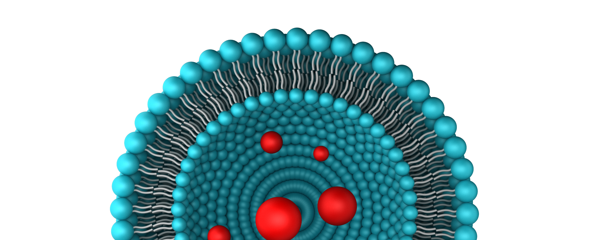 Lipomize Liposomal Gotu kola and Horse chestnut banner