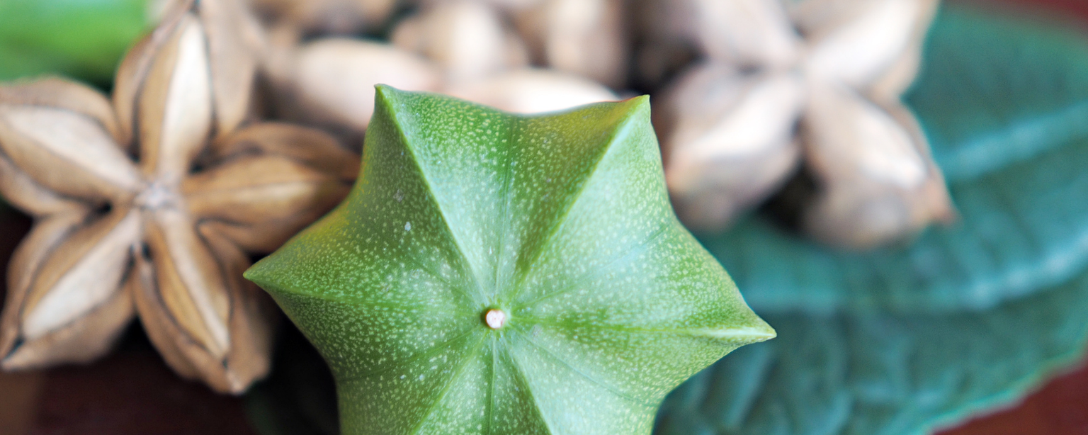 PHYTO CERAMIDYL-OMEGA N banner