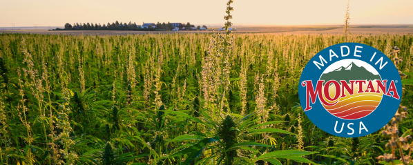 Hempseed Oil Organic banner
