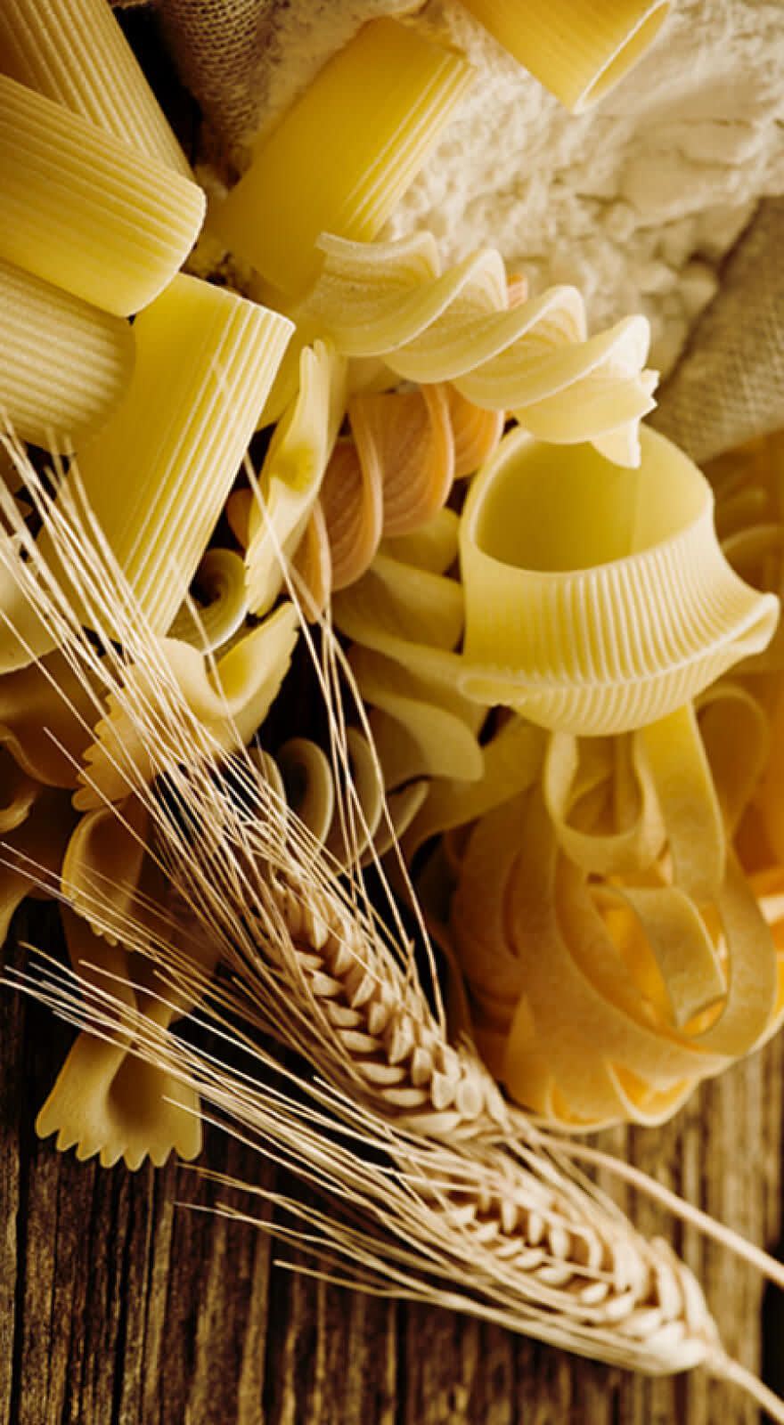 SPIGA D’ORO® banner