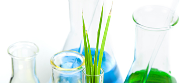 Catana™ EPOX 2474 banner