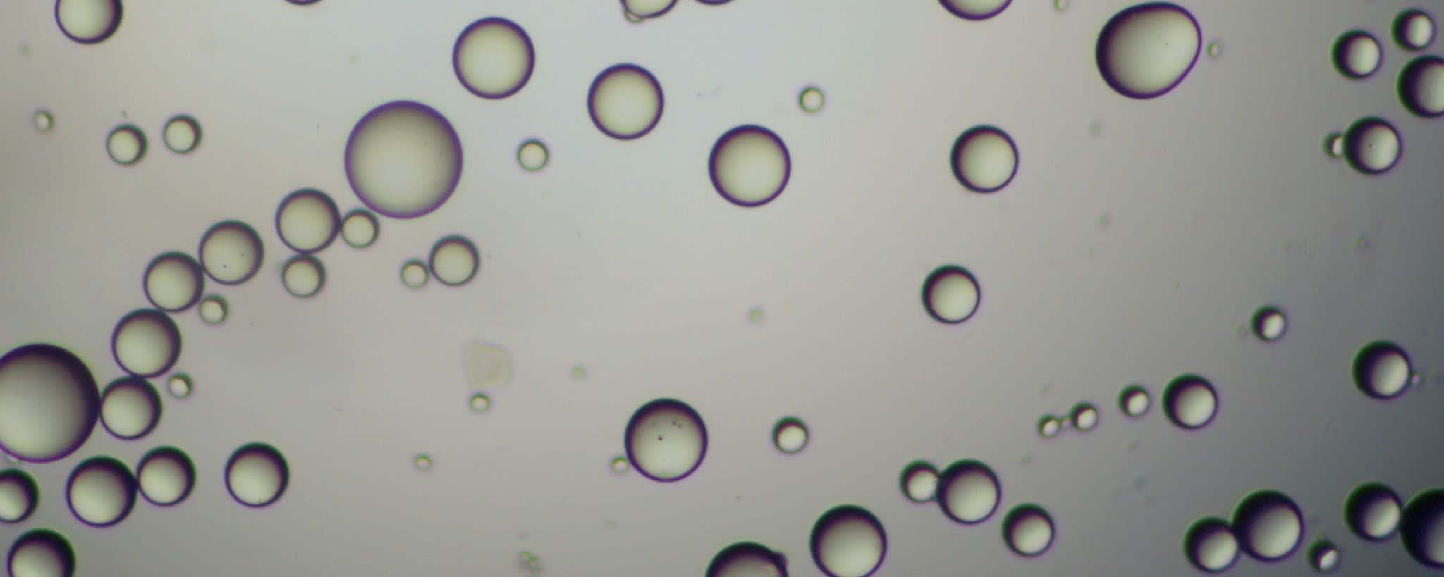 Esschem EMA - EGDMA Bead Copolymers banner