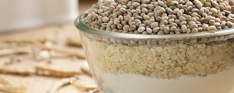 NEEPO™ 250-255F banner