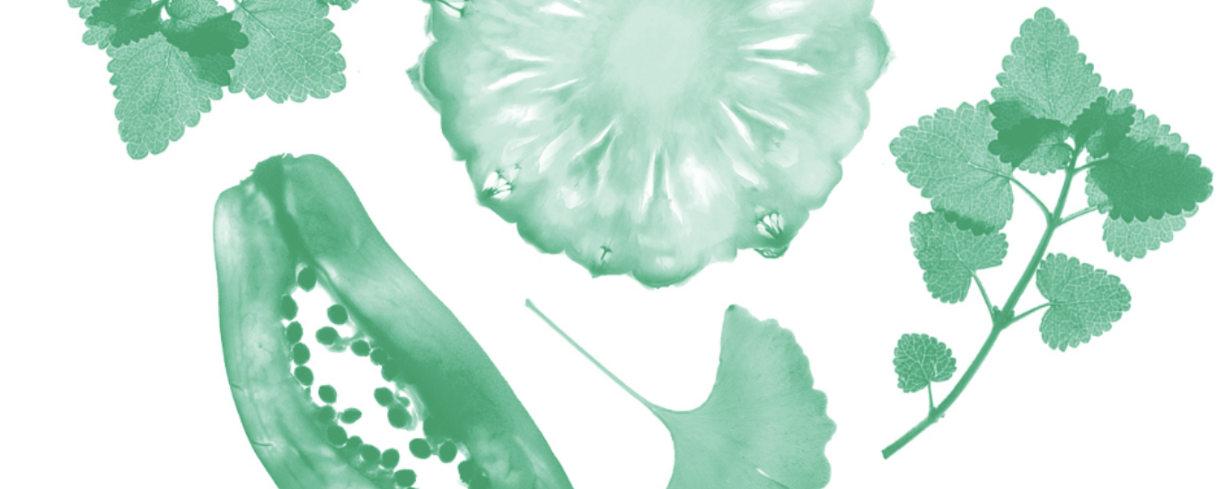 Signature Extract™ GREEN TEA INSIDE EX 40T PR-0298 banner