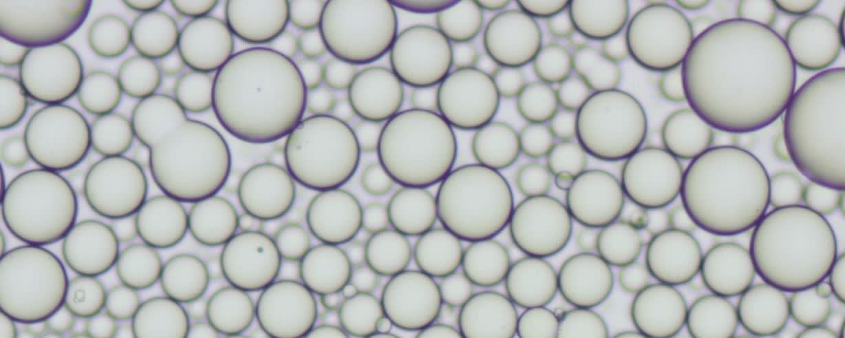 Esschem MMA - Styrene Bead Copolymers banner
