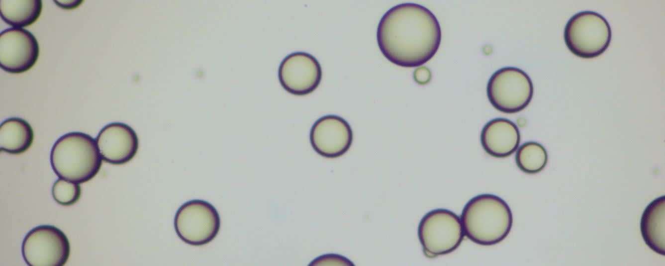 Esschem MMA - EMA Bead Copolymers banner