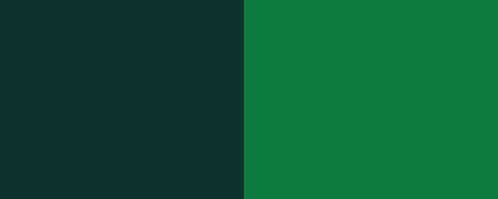 FCF Colorfast Liquid Dyes Bright Green (D25998WS) banner