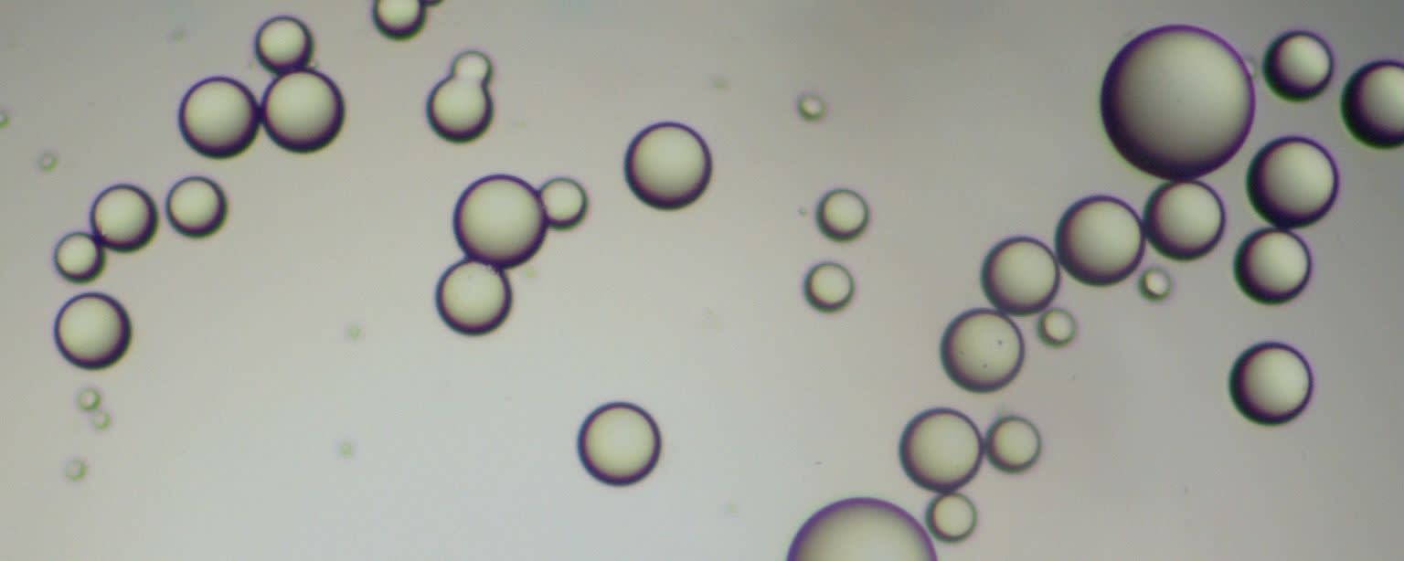 Esschem EMA - EHMA Bead Copolymers banner