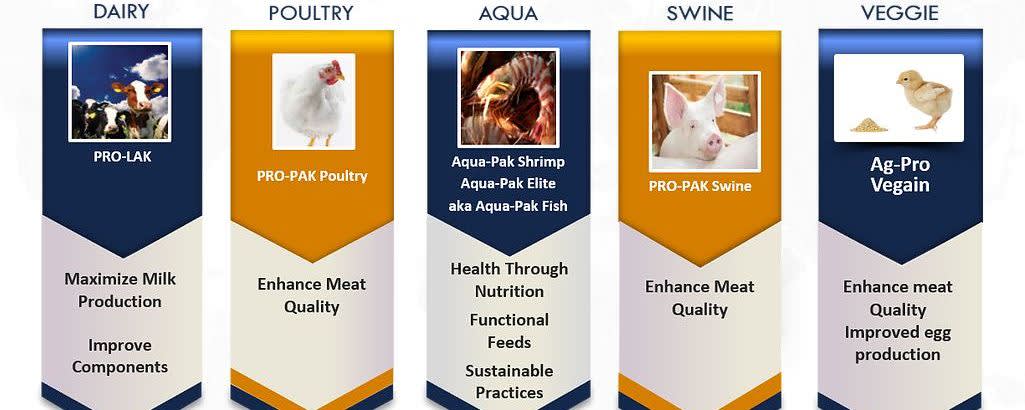 VeGain™ banner