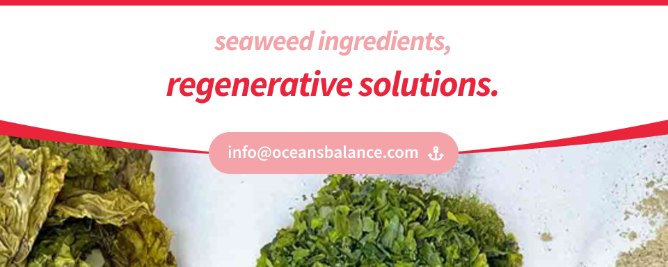 Ocean's Balance Organic Sea Lettuce - Whole Leaf banner