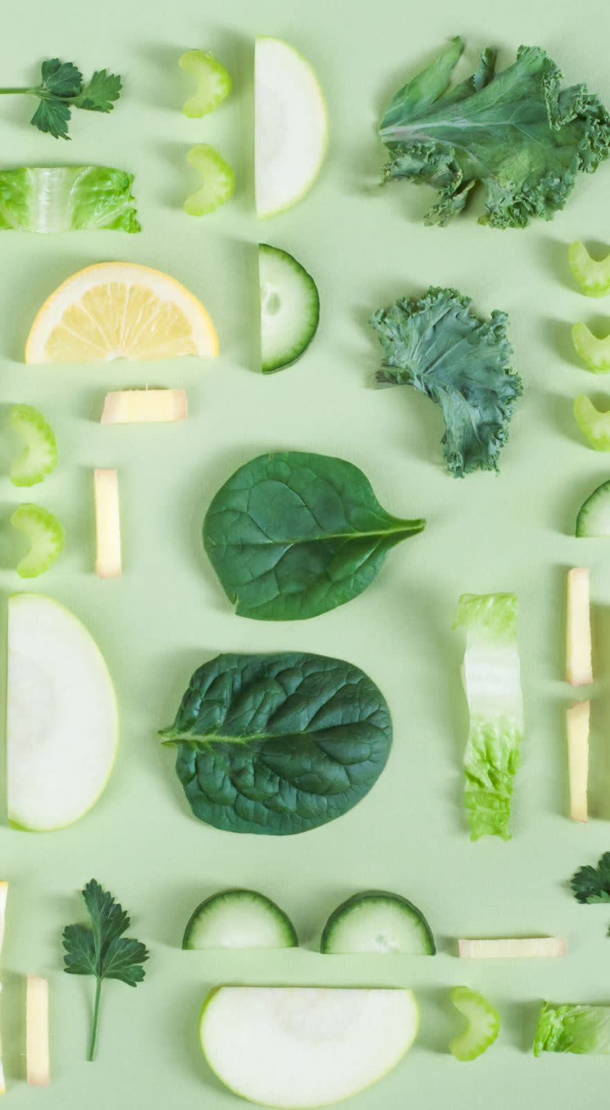 Dal Cin Gildo Spa Ittiogreen banner