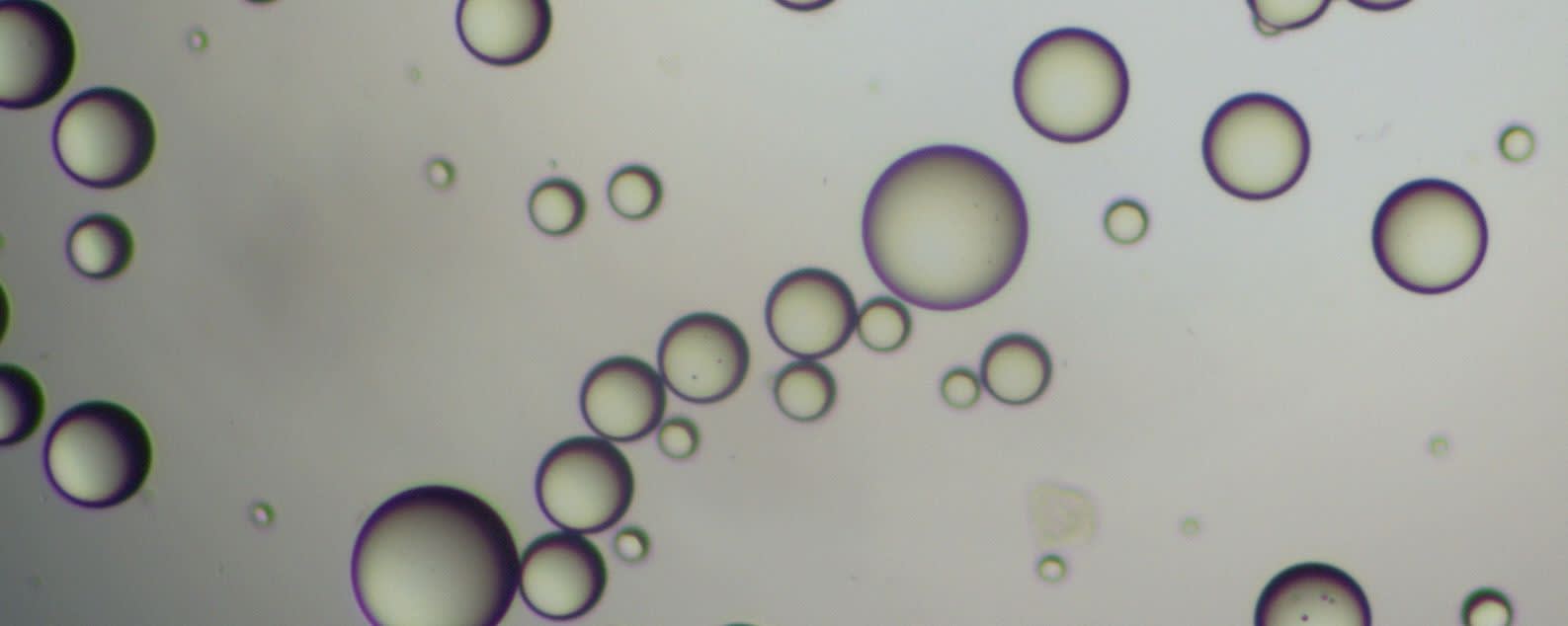 Esschem EMA Bead Copolymers banner