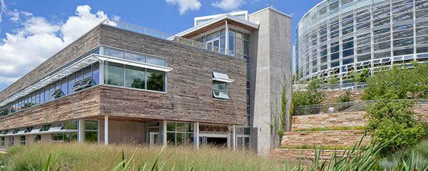 Campo Research™ no Broom Brush banner