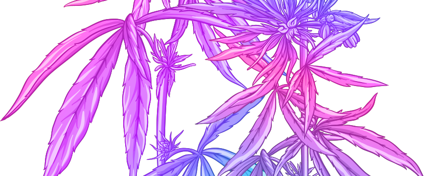 BCR Purple Haze Emulsion banner