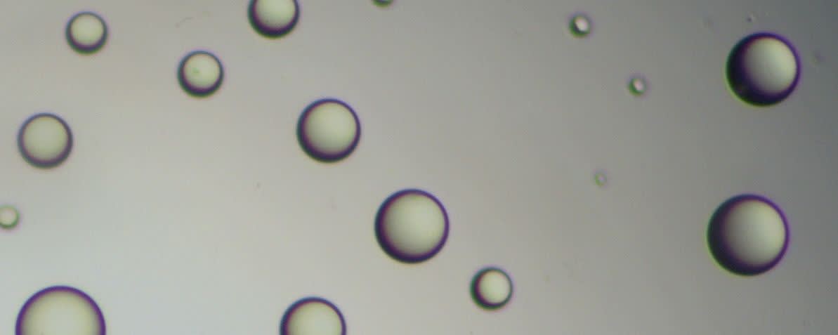 Esschem MMA - BMA Bead Copolymers banner