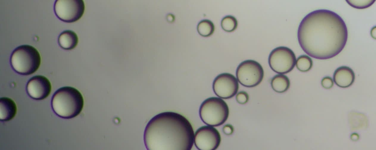 Esschem MMA - HPMA Bead Copolymers banner