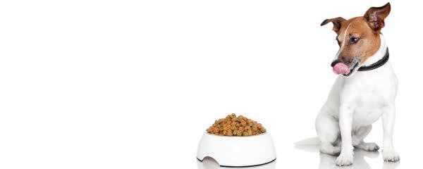 GOFOS™ P95 Pet Food banner