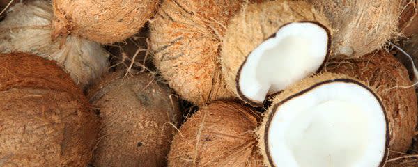 MctSMART® Coconut MCT Oil Powder 70% - Tapioca Fiber banner