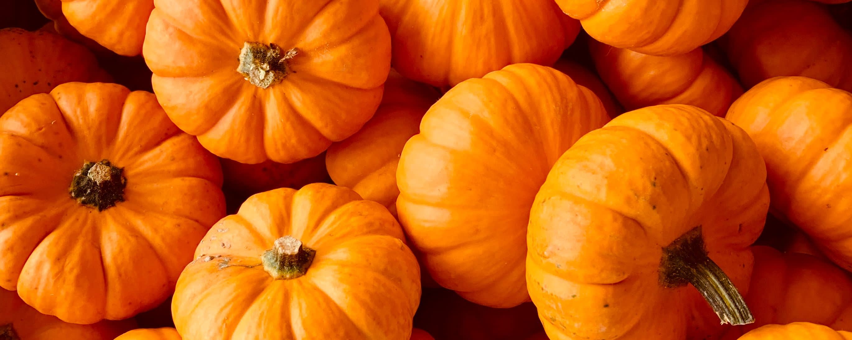 Dolce Foglia Pumkin Spice OS Flavor banner