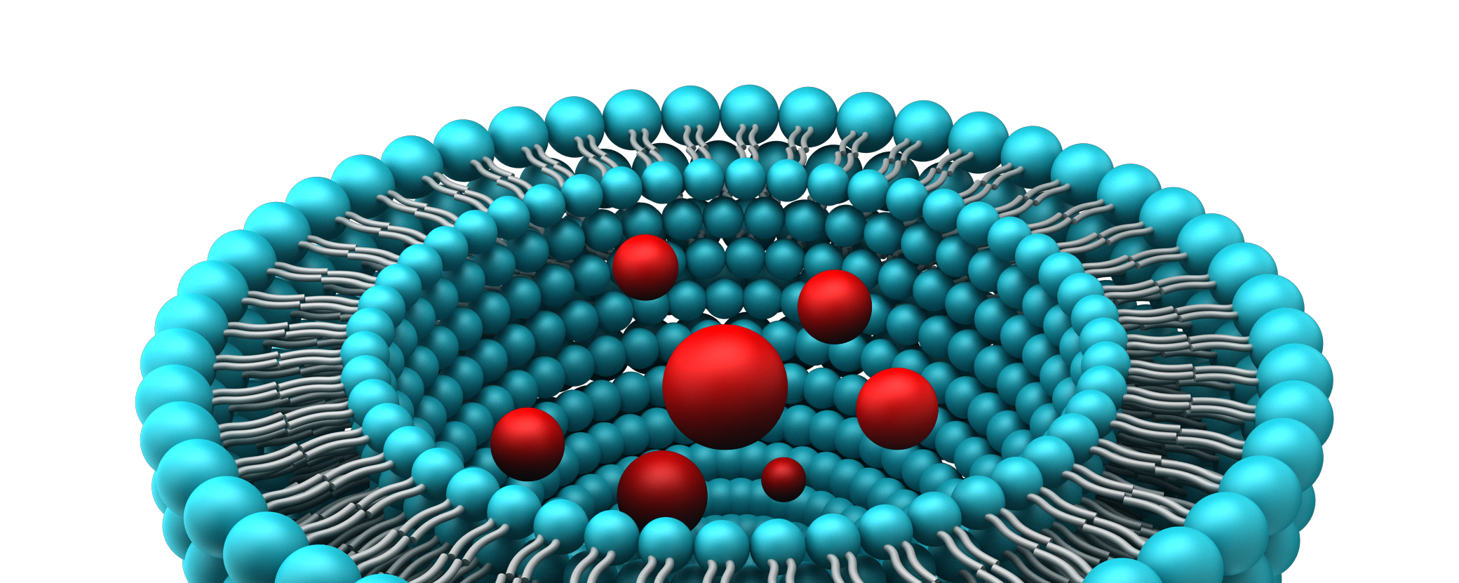 Lipomize Liposomal Melatonin banner