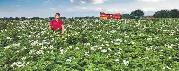 Empure® EJEL 100 Clean Label Pea Starch banner