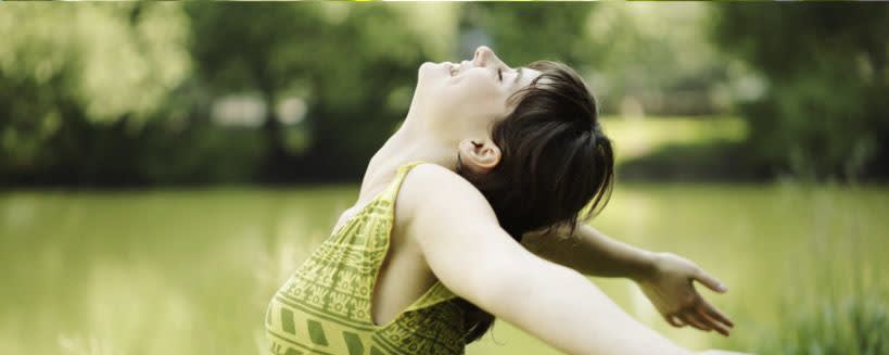 Dynadis Green Tea Extract banner