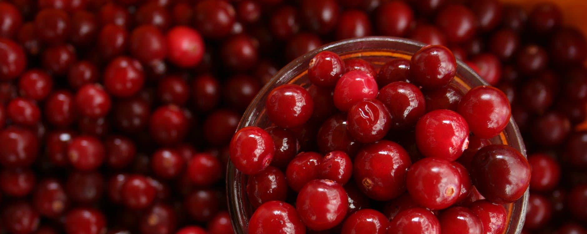 Cranberry FrütFibre™ banner