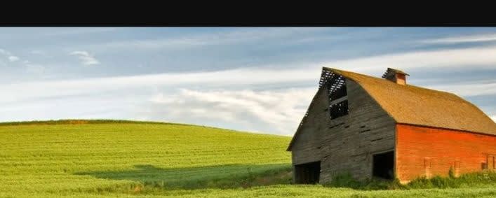 LMI Textured Pea Protein (63% Protein) banner