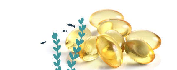 kappamega³ 530 Vegan Algal DHA Softgels banner