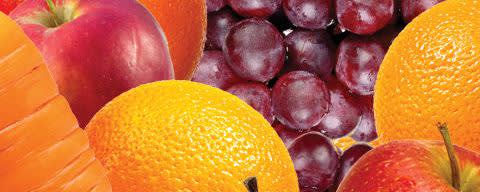 PreB® Superfood Powder banner