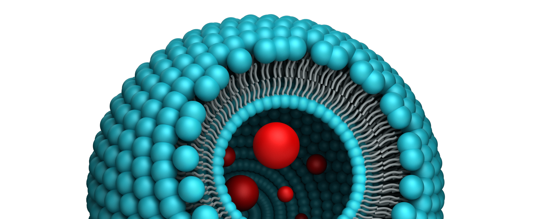 Lipomize Liposomal Caffeine banner