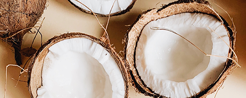 AFI Compare to Aroma Coconut Pulp F20079 banner