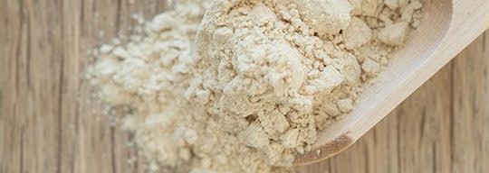 Excell® Yeast High Selenium 2000 (Animal Grade) banner