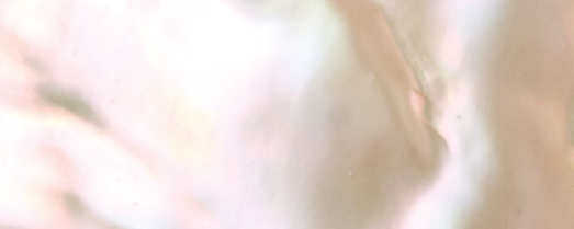 IrisPearl GOLDEN 32 (10-100 μm) banner