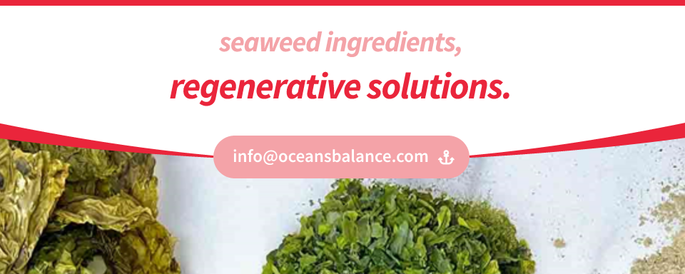 Ocean's Balance Organic Irish Moss - Powder banner