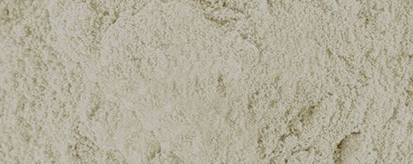 NEM® CA banner