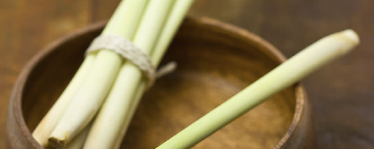 Naturex LEMONGRASS PUREE, FROZEN (NV0FPP07) banner