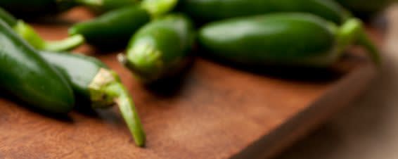 Naturex JALAPENO PEPPER PUREE, FIRE ROASTED, ACIDIFIED (NV01PB59) banner