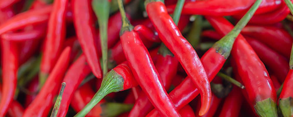 Naturex CAYENNE PEPPER PUREE, MICRO-CUT (NV0APD50) banner