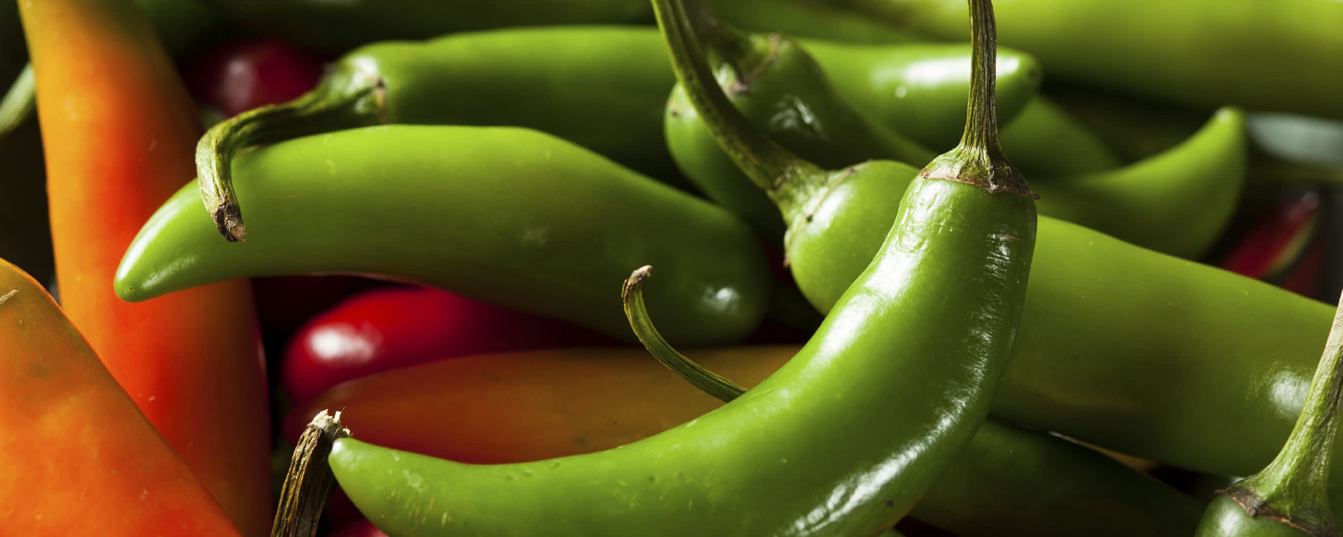 Naturex SERRANO PEPPER PUREE, FIRE ROASTED, ACIDIFIED (NV01PB58) banner