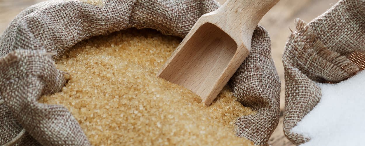 Hamburg Fructose Rice Syrup - Organic banner