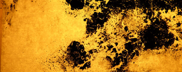 MITO banner