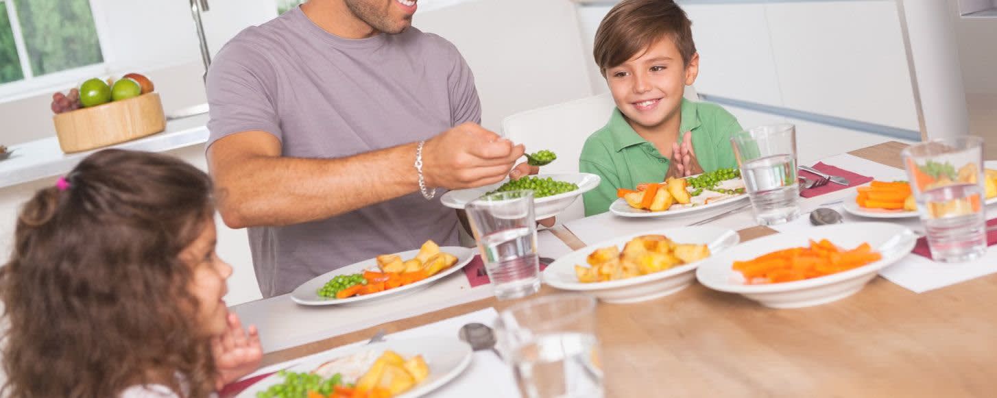 Nutra Food Ingredients Pork Skin Gelatin - 180 Bloom banner