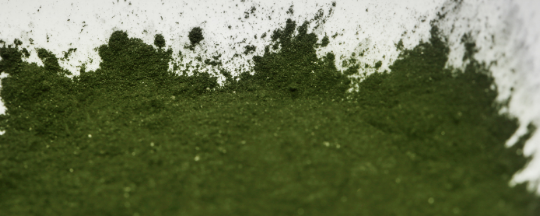 Luzixine™ Powder 300μm - alfalfa extract banner