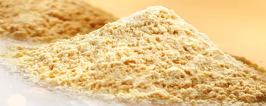 GIIOFINE - P - SF De-Oiled Sunflower Lecithin Powder banner