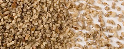 Hammons® Black Walnuts Bits banner