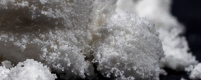 Averix Bio API CBD Isolate banner