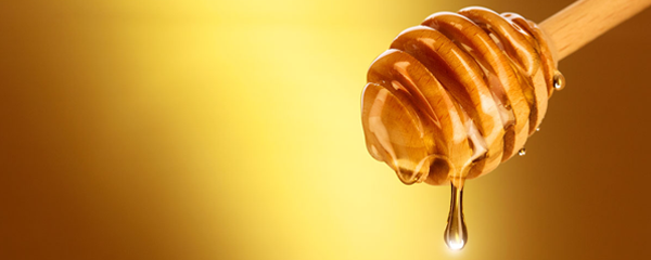 Midlands Rewarewa Honey banner